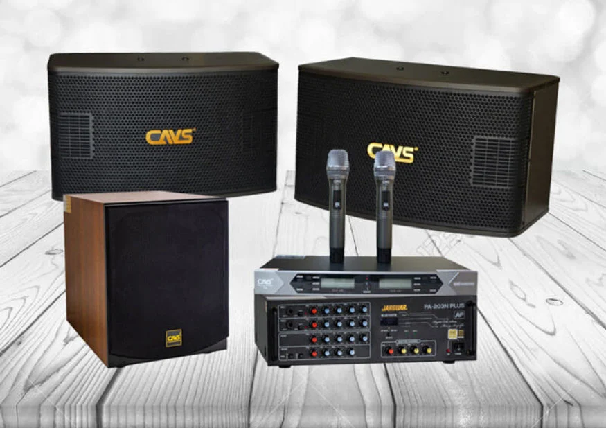 Dàn karaoke gia đình giá bao nhiêu mà vừa hay vừa rẻ vừa bền