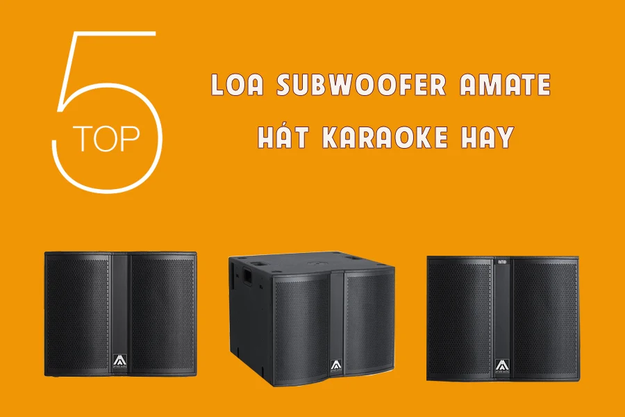 Top 5 loa subwwoofer Karaoke Amate đáng mua nhất  