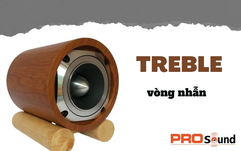 Phân loại loa treble rời cao cấp ưa chuộng trên thị trường