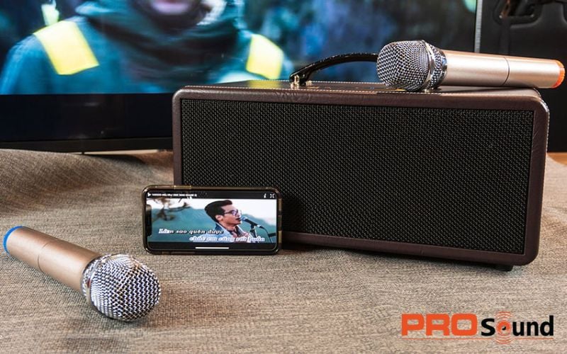 Khái niệm về loa karaoke mini cao cấp