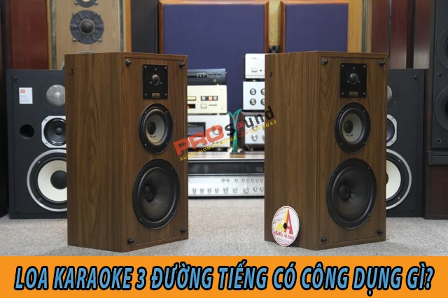 Loa karaoke 3 đường tiếng là gì?