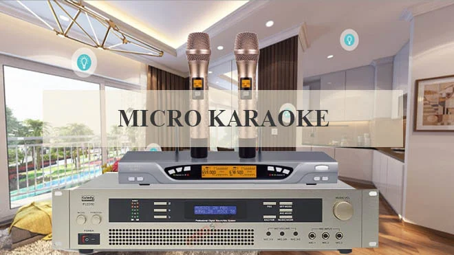 Micro karaoke.
