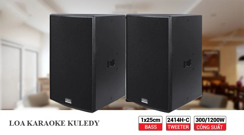 Loa karaoke Kuledy