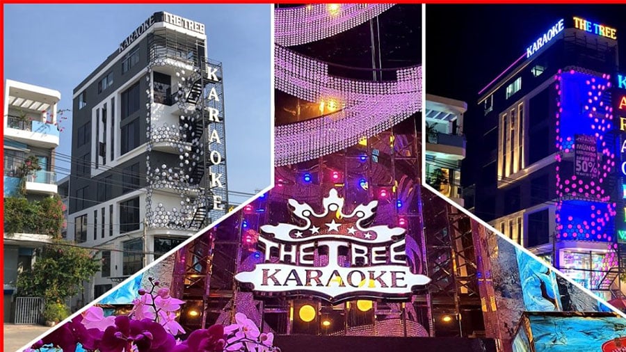 Lắp đặt âm thanh karaoke cho quán  THE TREE Q9 TPHCM