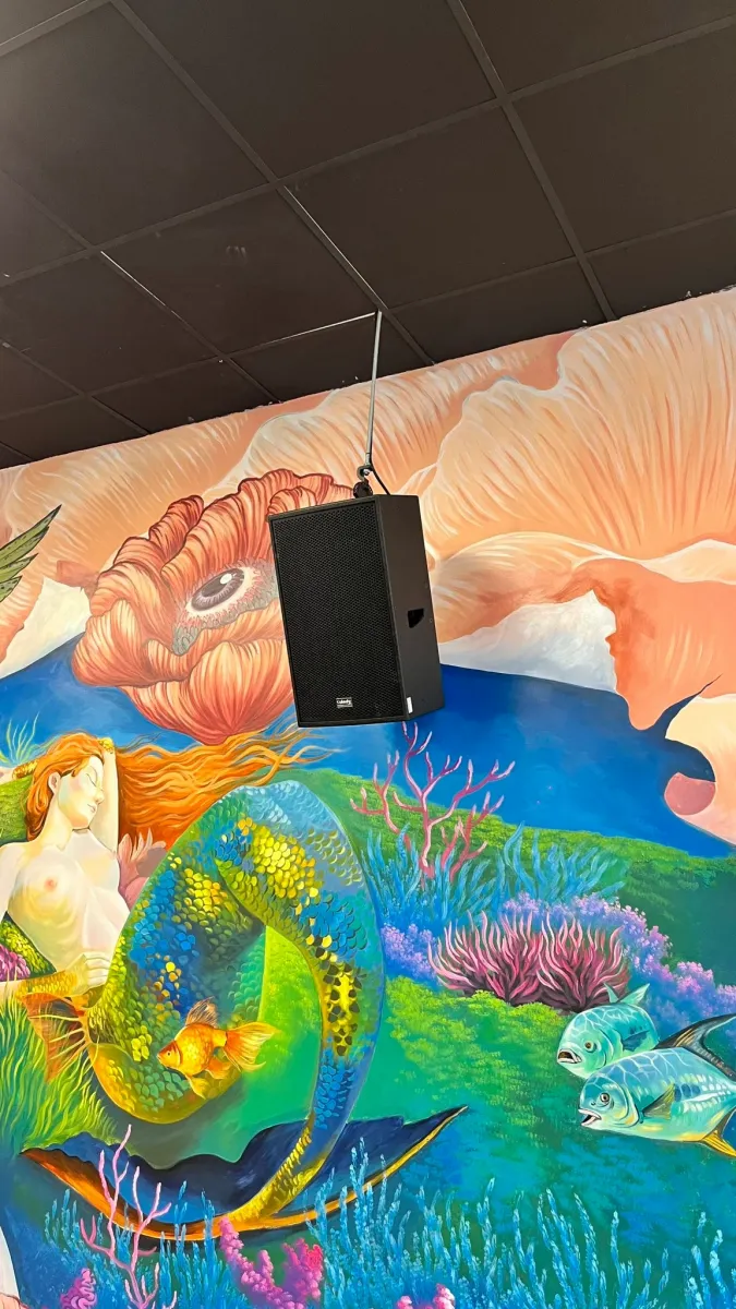 loa Kuledy CX12 cho quán bar beer ở Bạch Đằng, Hai Bà Trưng