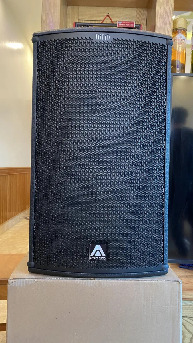  loa karaoke chuyên nghiệp